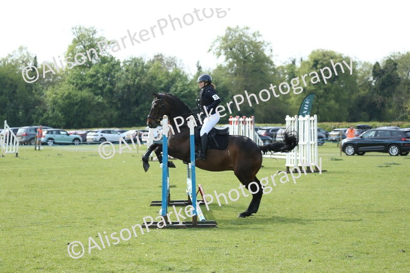 20260426-1707 - Class 14 - Novice 60cm