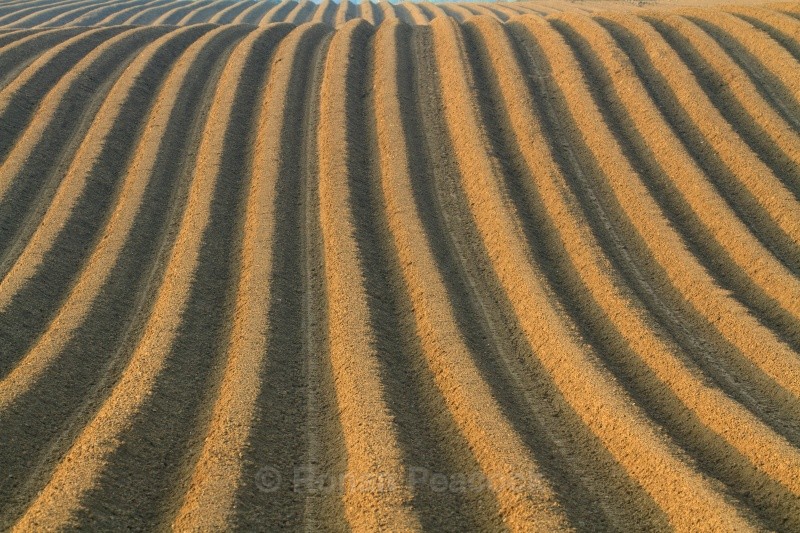Furrows - Shapes and Skies