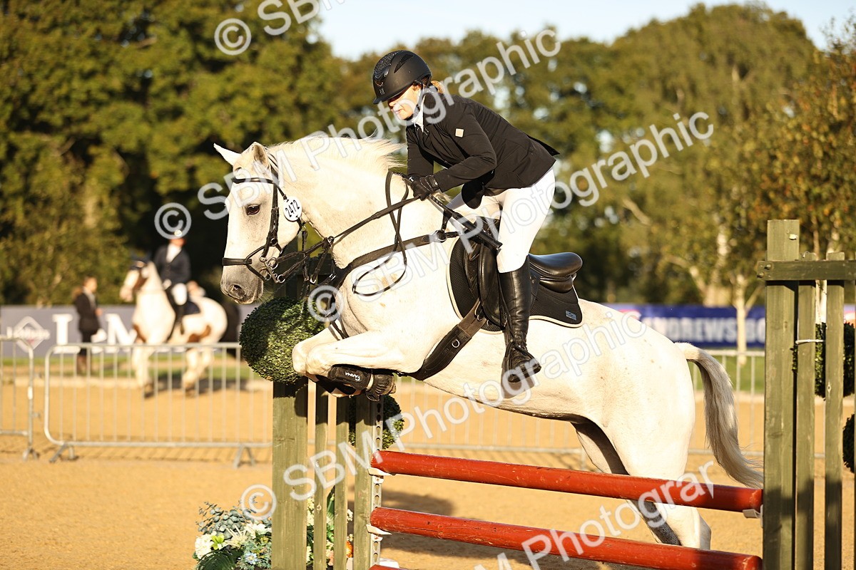 SBM_32907 - J38 - Senior 80cm Championship