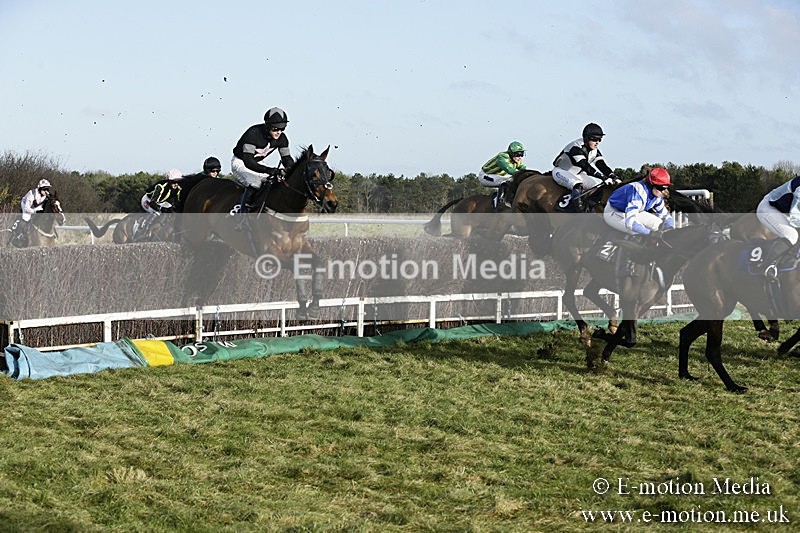 PtP 070118 -58 - Larkhill Racing Club Point to Point Larkhill 07/01/2018