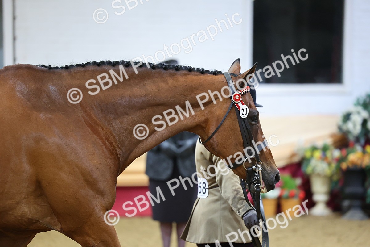 SBM_20848 - Class 902 - Supreme Final IH Veteran