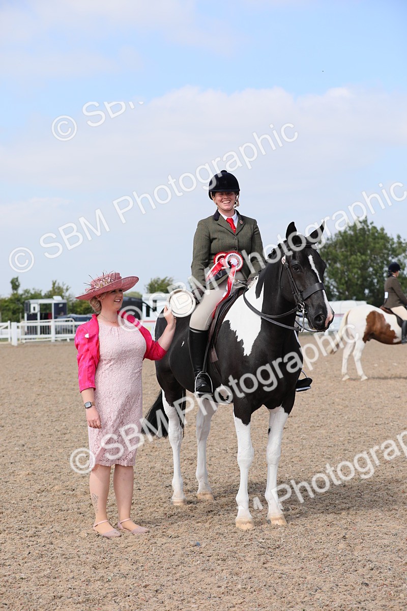 SBM_13515 - Class 308 Ridden Coloured Horse