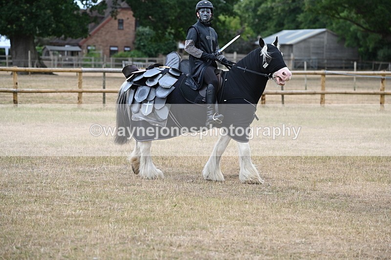 WJ6_8847 - Class 11 Fancy Dress