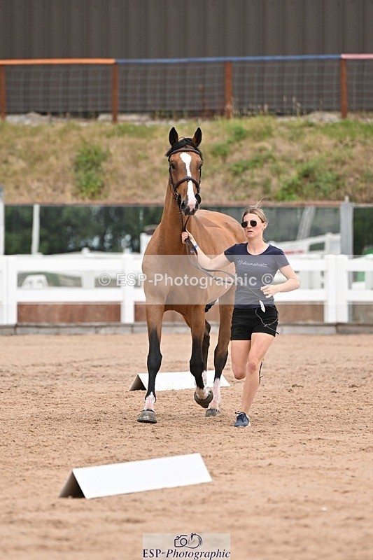 250716-155957-02316 - Trot Up 3.30 to 4.30