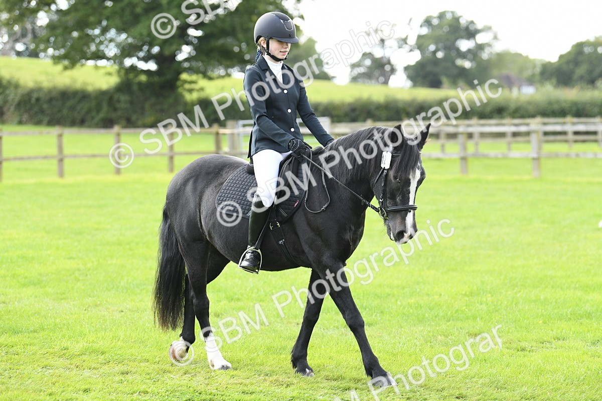 SBM_46707 - S12 - Family Horse & Pony