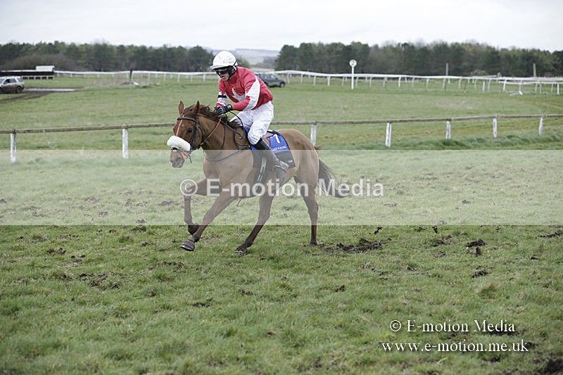 PtP 150320 0925 - New Forest Point-to-Point Larkhill 15/03/20