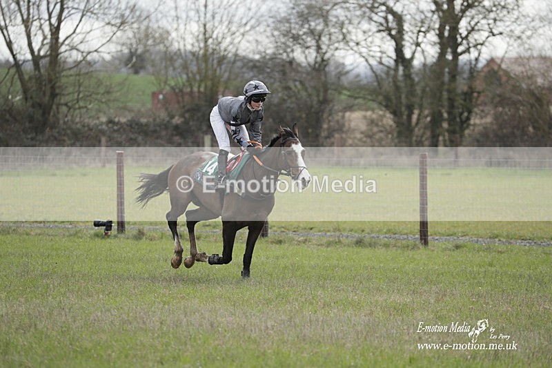PtP 180323 133 - Shelfield Park Races with Croome & West Warwickshire Hunt  18/03/23