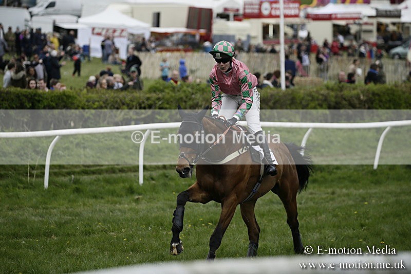 PtP 170417 565 - Old Berks Point-to-Point Lockinge 17/04/17