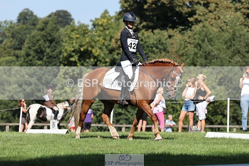 250823A-103625-27748 - Arena D