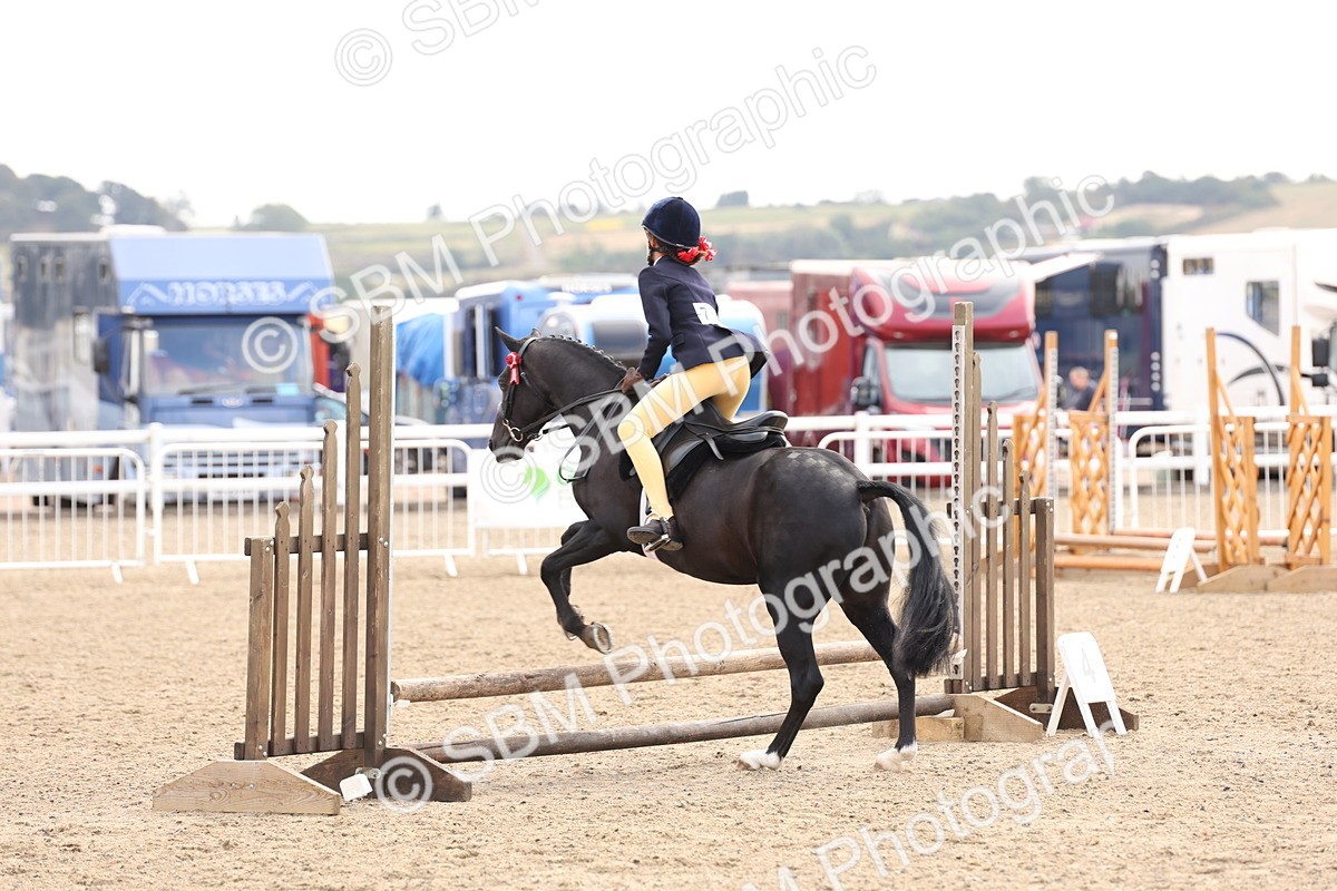 SBM_04252 - Class 54 - Riding Club Horse/Pony