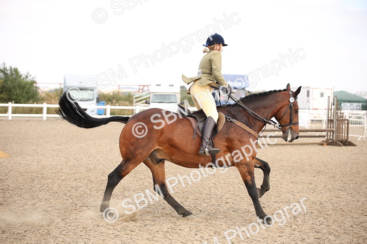 SBM_16057 - Class 408b - Working Veteran 70cm (20+)