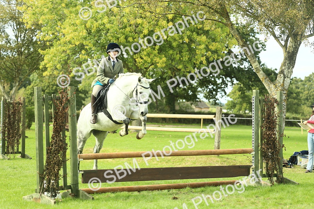 SBM_48006 - S32 - Novice & Newcomers Working Hunter