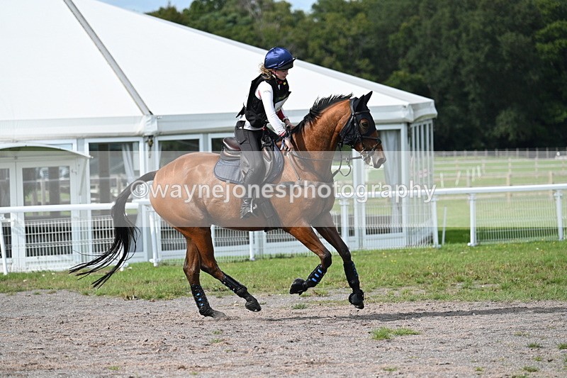 WJ7_2583 - Time 13:55 to 14:05