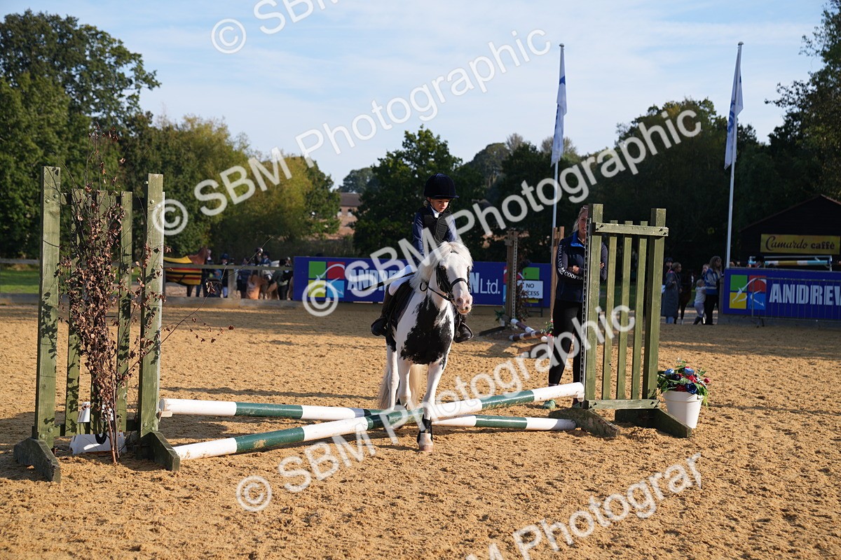 SBM_59098 - J63 - Minis Clear Round 30cm 40cm