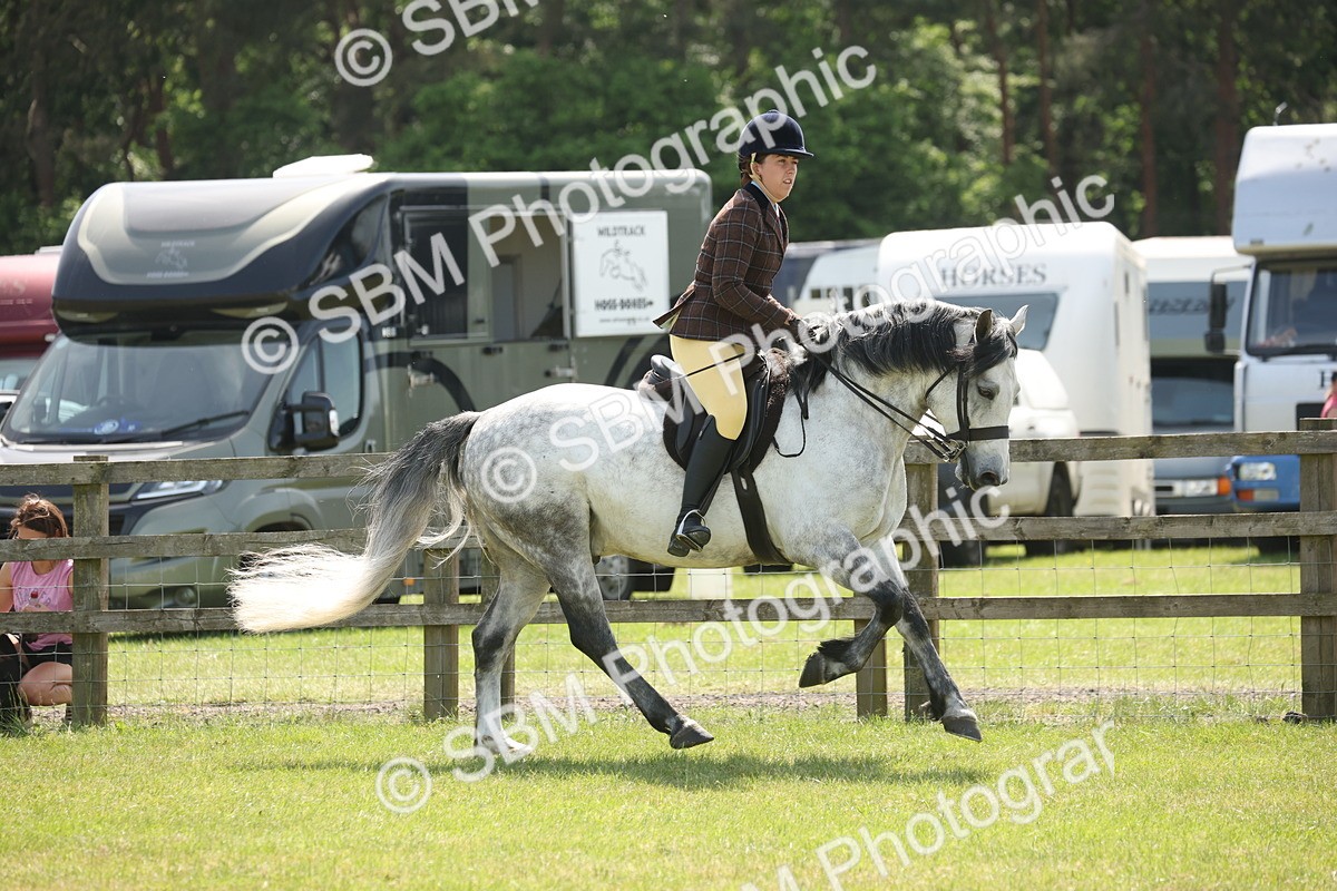 SBM_07601 - Class 26-30 - Mountain and Moorland Ridden