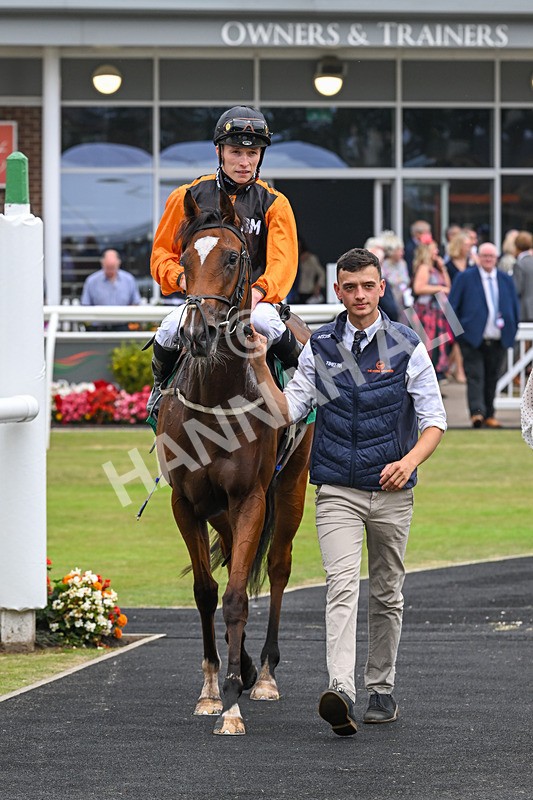 070924-Race 2-Cymbidium-7190 - Race 2