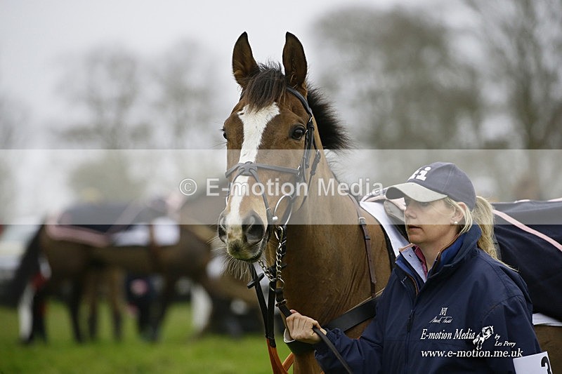 PtP 200222 05 - Countryside Alliance PtP Badbury Rings 20/02/22