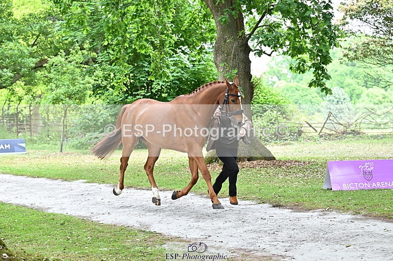250521A-144912-00262 - A-062-Finn.Healy-GREANNANSTOWN.MONBEG.JOE