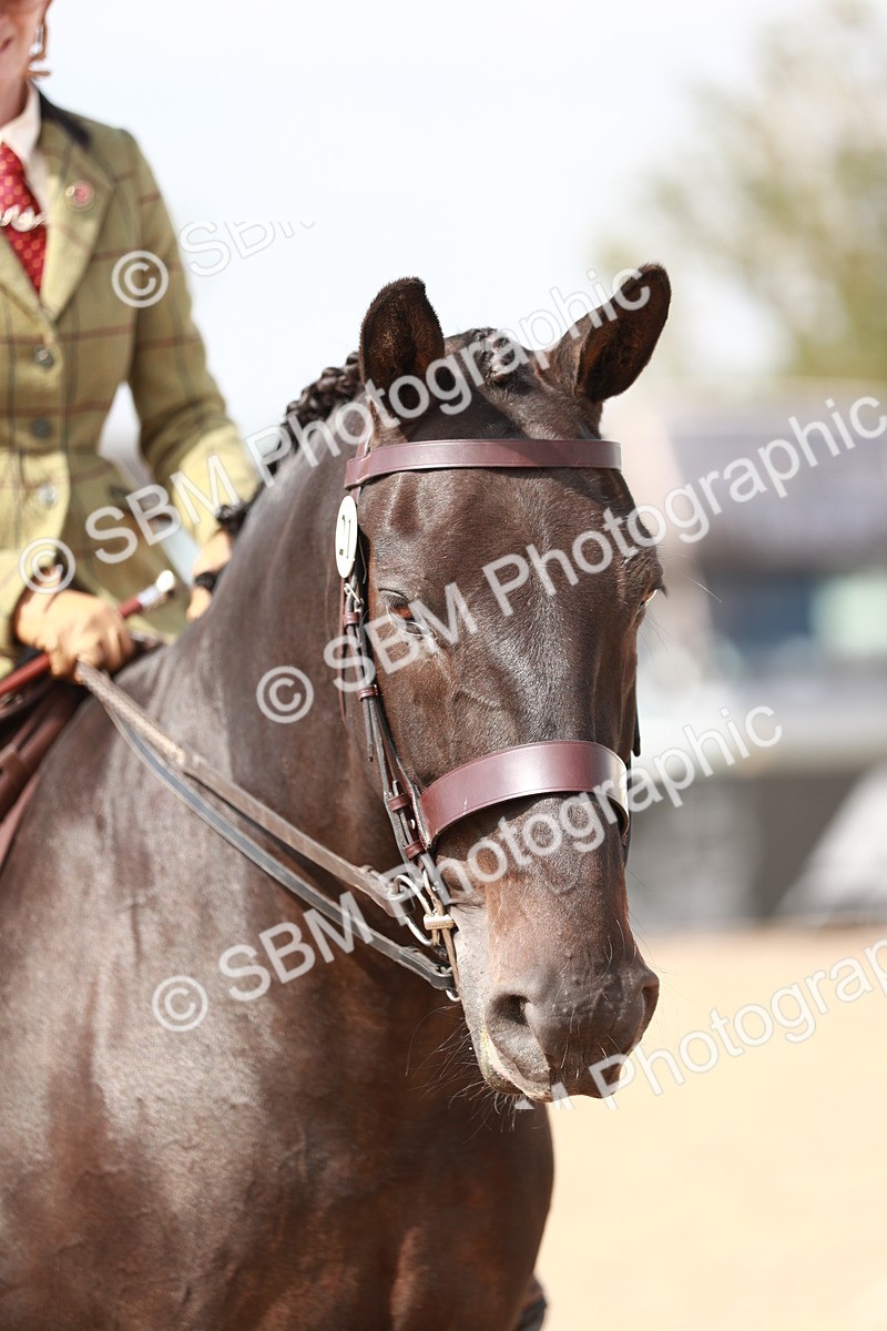 SBM_14880 - Class 212 Ridden Hunter - Small