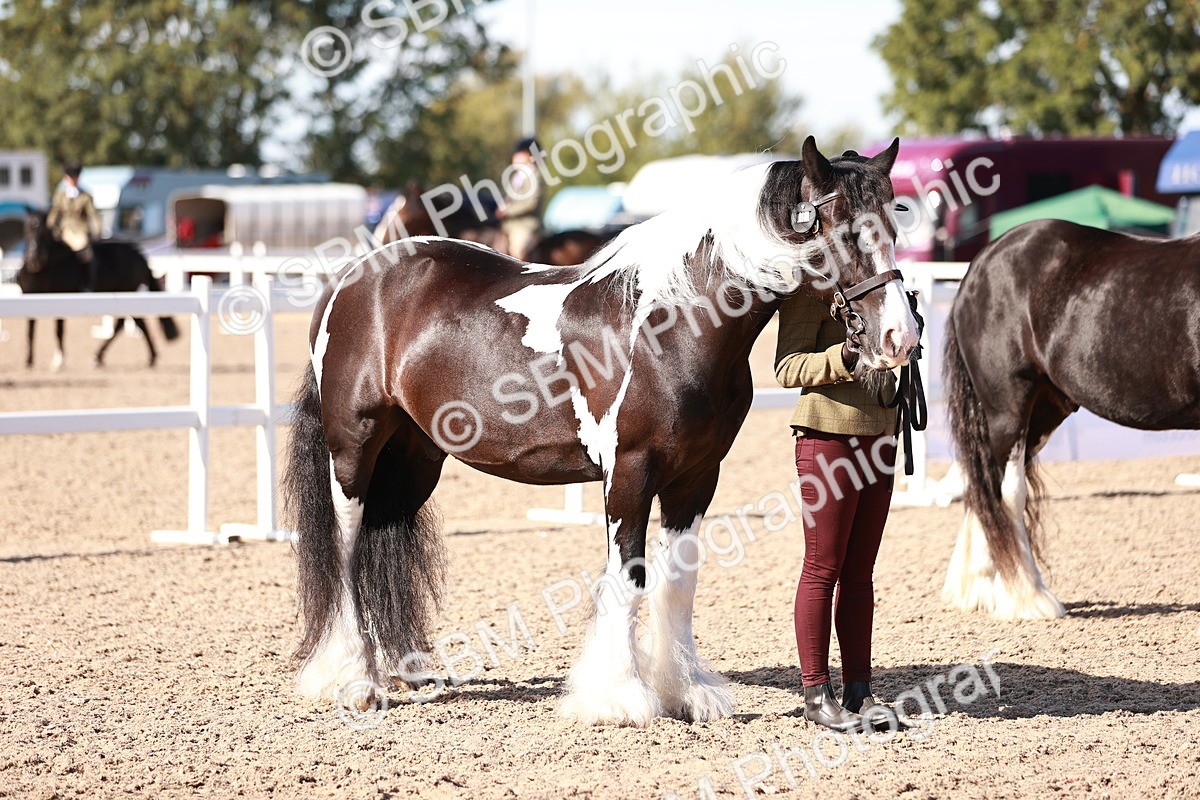 SBM_12589 - Class 404 - IH Traditional - Native Cob