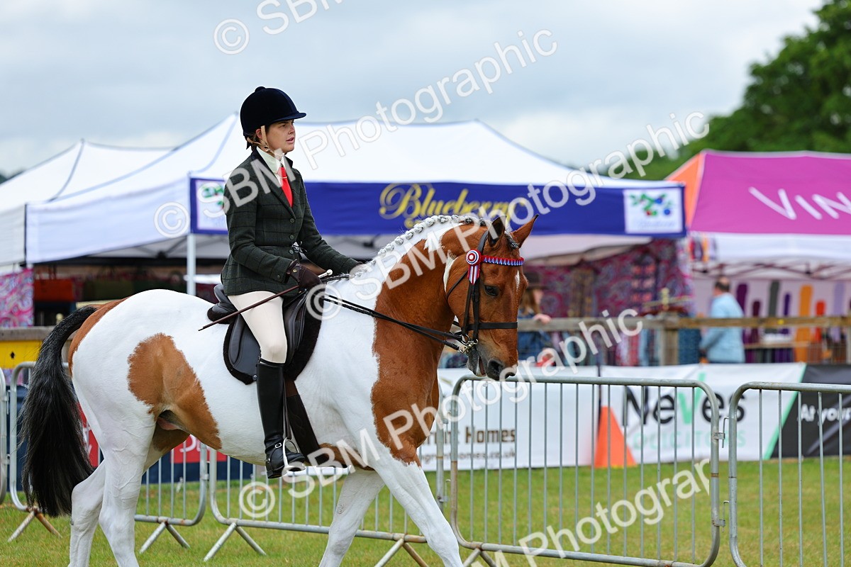 SBM_02465 - Class 9-11 Side Saddle including LIHS Rising Star Ladies Show Horse