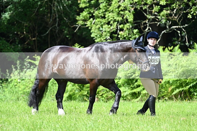 WJ7_1039 - Class 11 Condition & Turnout