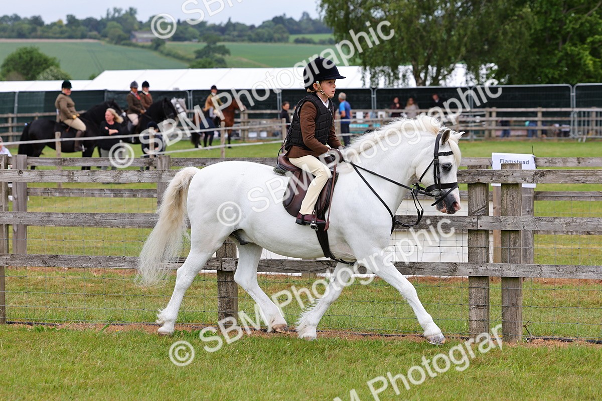 SBM_08477 - Class 42-43 - LIHS BSPS Heritage Working Sports Pony