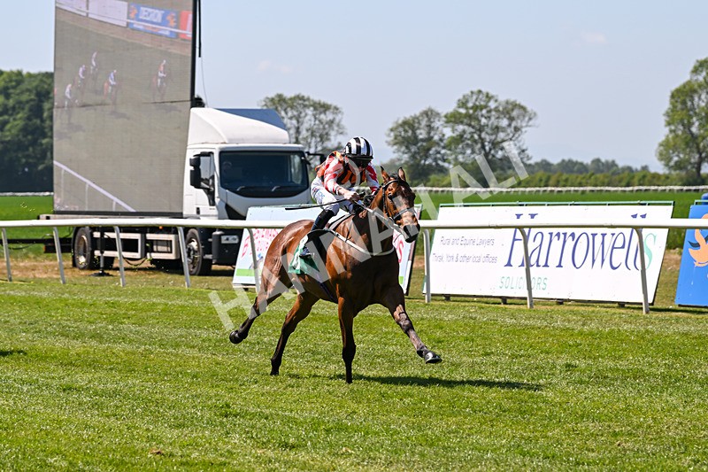 170525-Race 2-Kodiac Thriller-7986 - Race 2