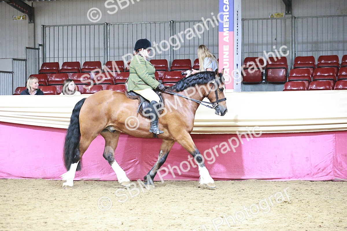 SBM_08759 - Class 12R - Regional Ridden Pre-Vet