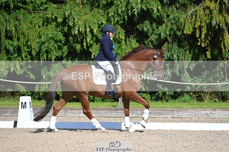 230811-162612-02679 - Prelim Bronze Presentations