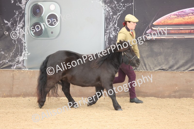 20251109-0097 - Class 5 - Mares 4 Years and over