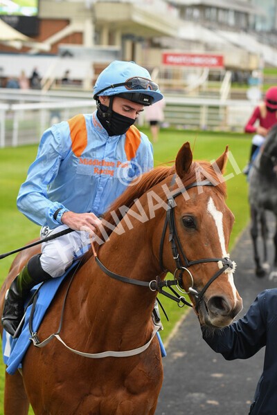 yr14052021r5-17 - Race 5 3.40pm The Jigsaw Sports Branding Handicap