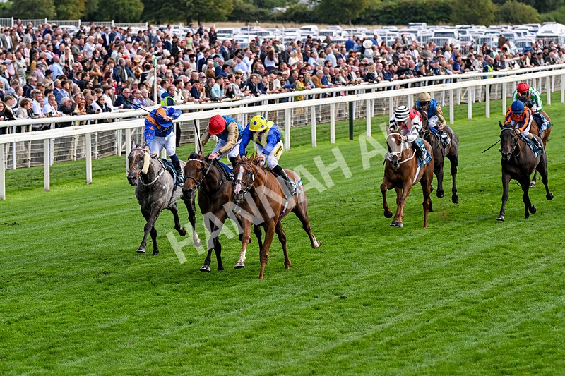 210826-Race 5-Plage De Havre-0289 - Race 5 16.10pm Assured Data Protection Handicap