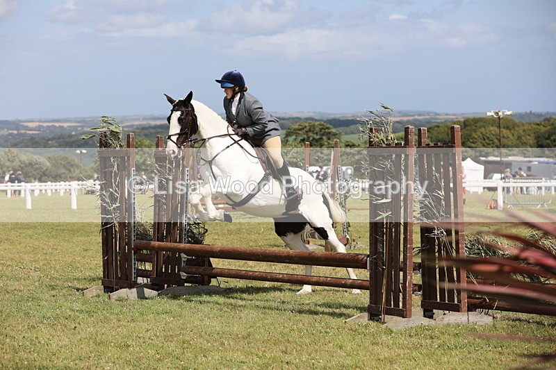 JPP_2192 - Class 19: Working Hunter 60cm