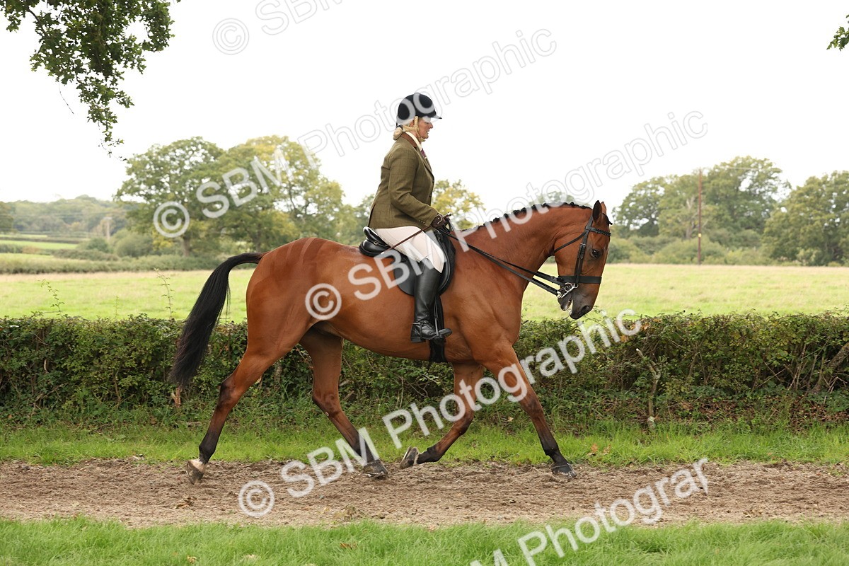 SBM_66282 - S66 - Hunter Ridden