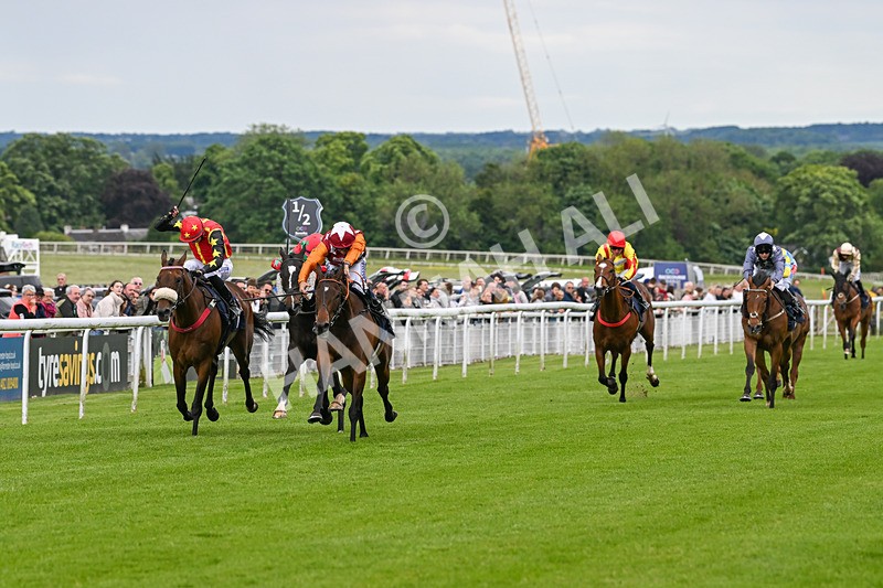 290524-Race 7-Lincoln Rockstar-7267