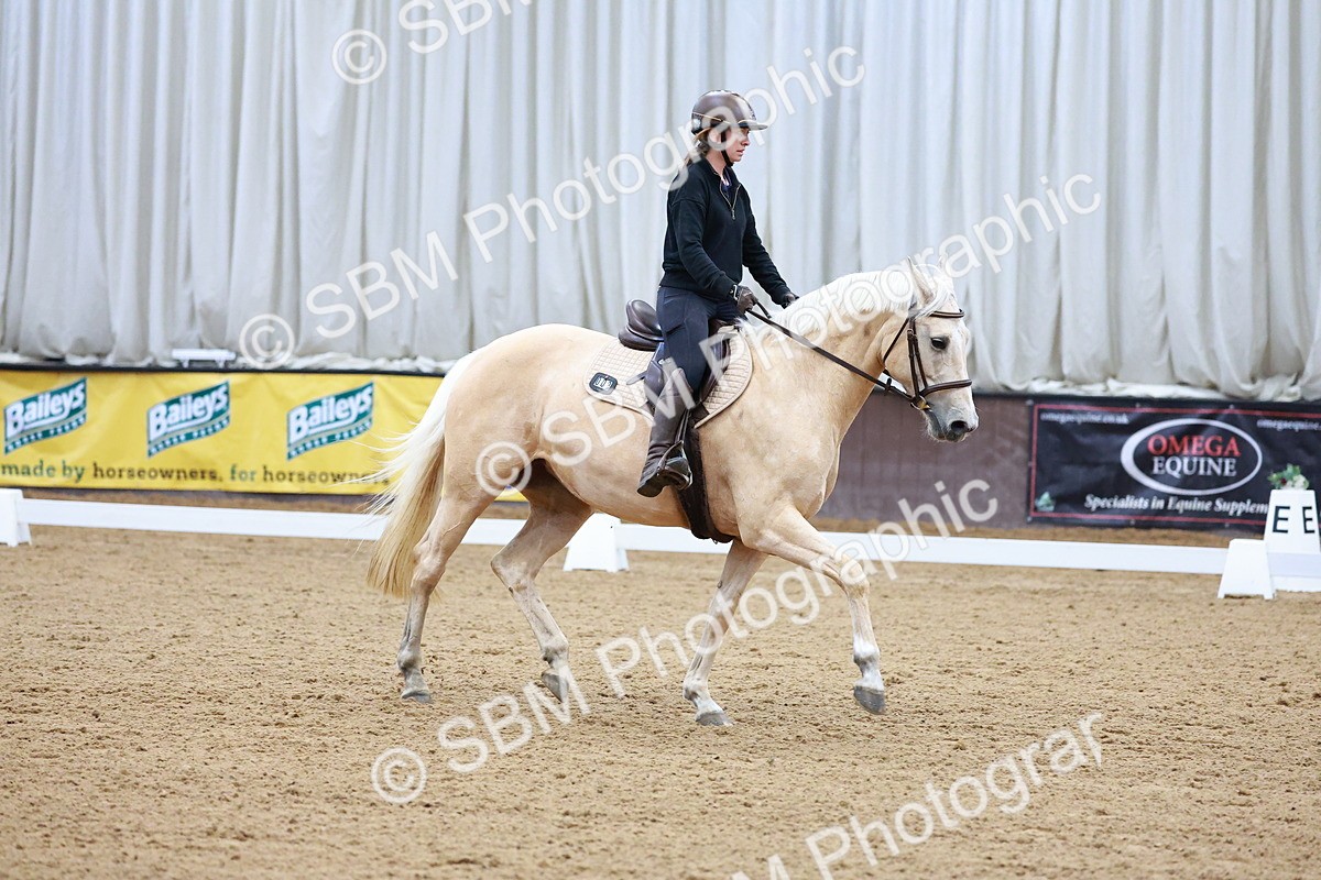 1I0A0628 - Class 3-6 - Prelim 1-Novice 2