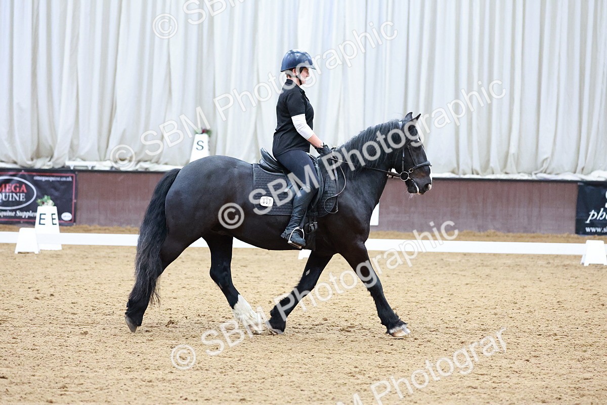 1I0A0781 - Class 3-6 - Prelim 1-Novice 2
