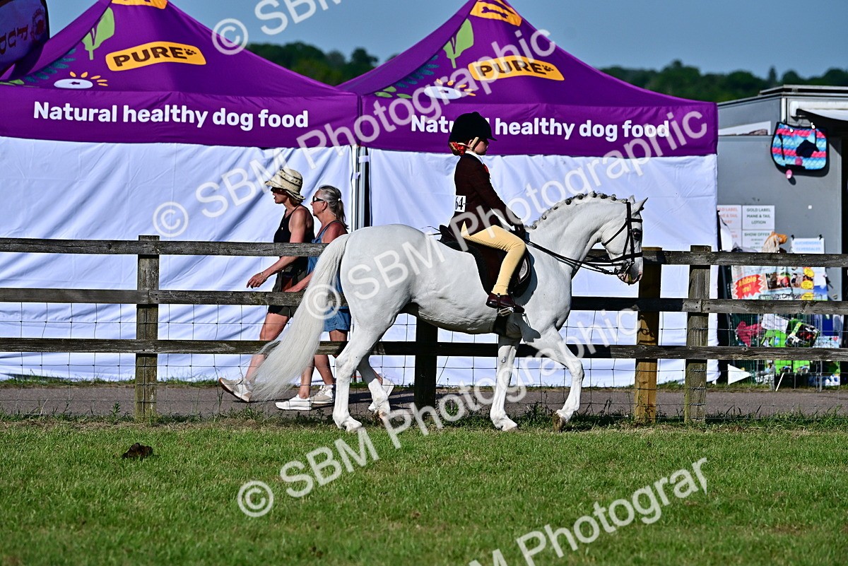 SBM_19871 - Class 103 - 105 - TSR Ridden Amateur of the Year Plaited Ponies