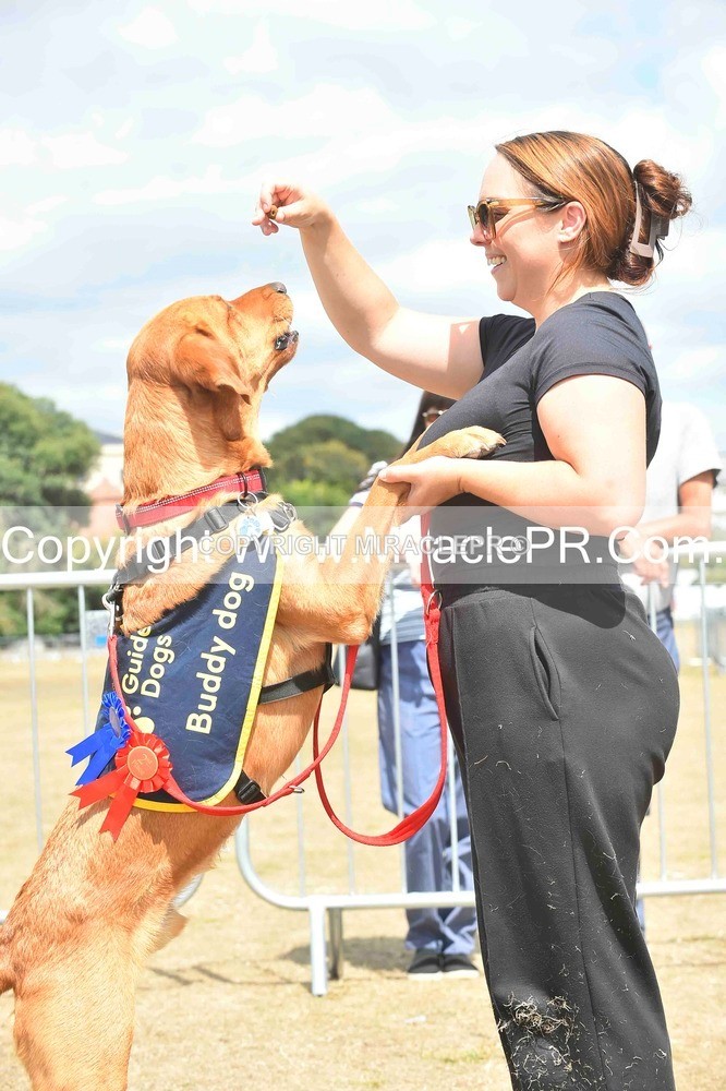 SH4_0260 - Dog show.