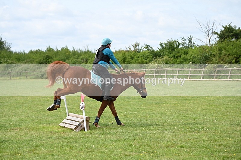 WJ6_2251 - Class 2 40cm