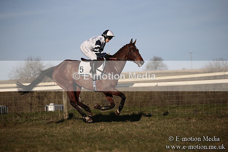 PtP 240218 657 - Vine & Craven Hunt Point-to-Point Barbury racecourse 24/02/18