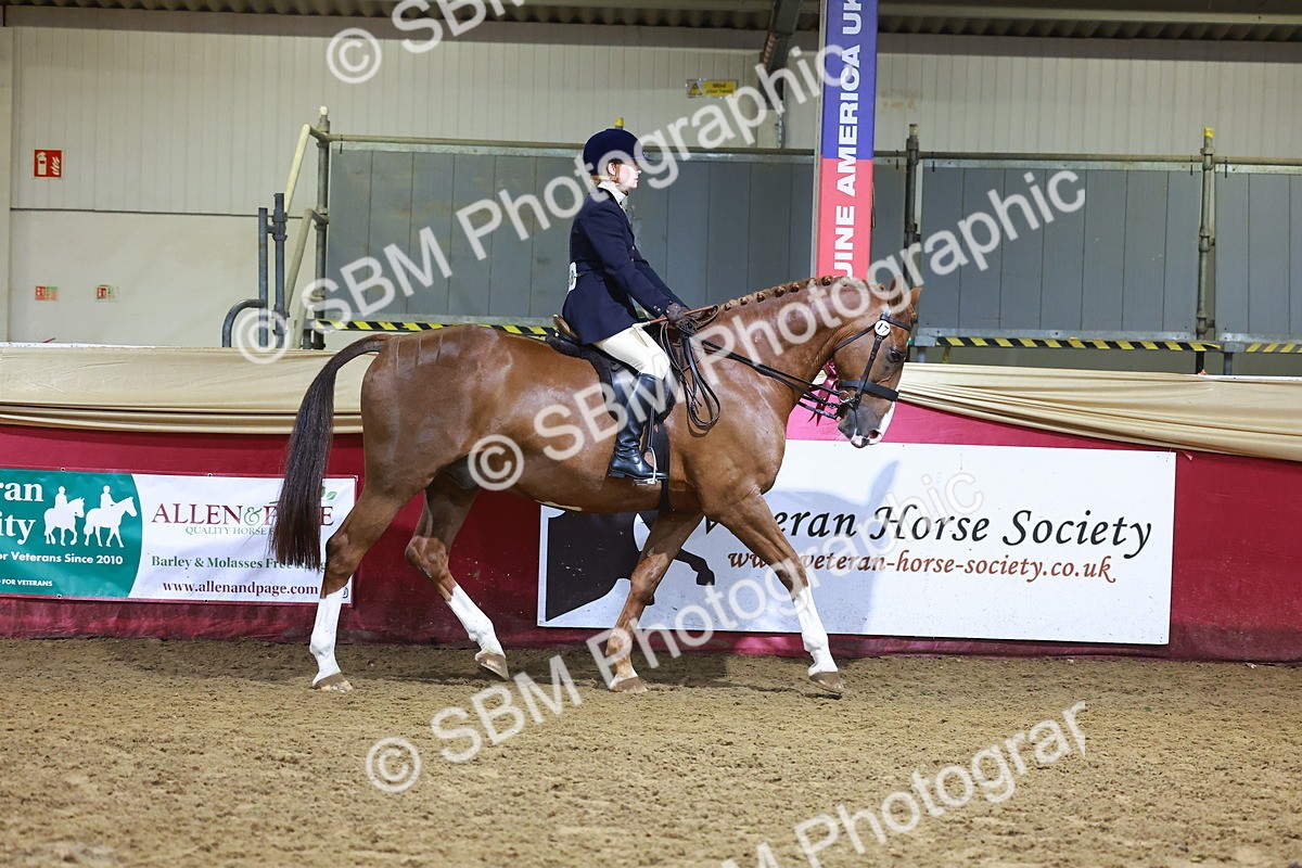SBM_15397 - Class Q - Ridden Horse Champ