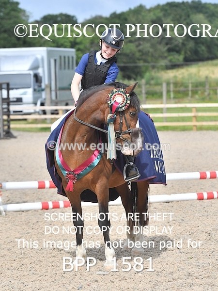 BPP_1581 - DERBY CLASS 3 - 40CM