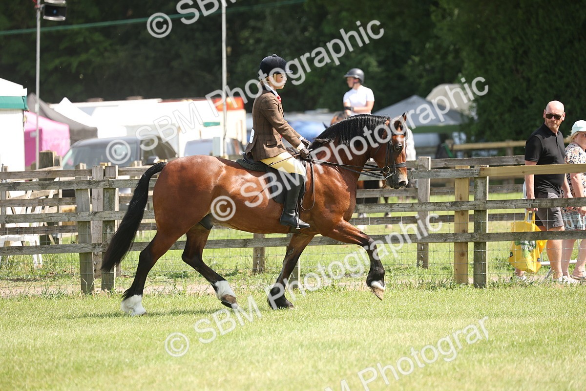 SBM_07659 - Class 26-30 - Mountain and Moorland Ridden