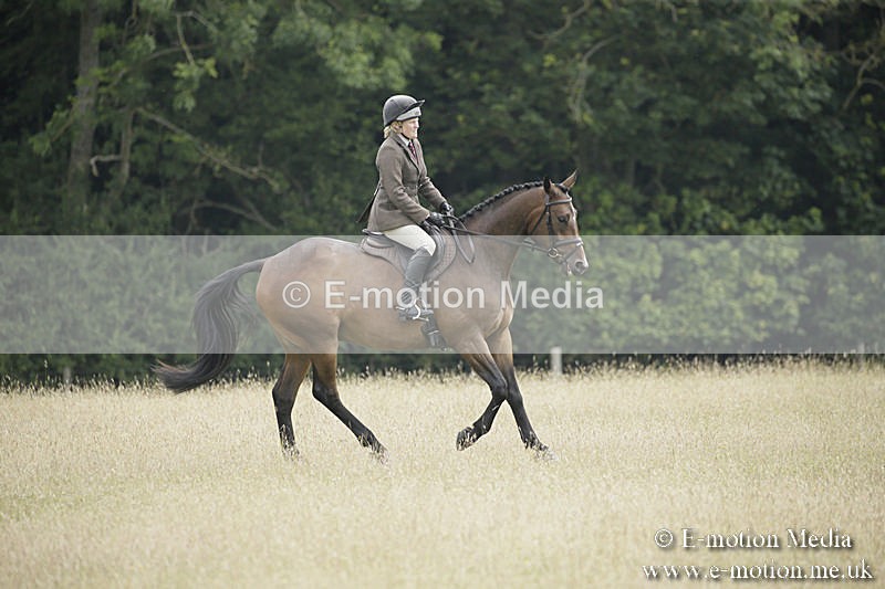 B230619-0417 - Bourne Valley Riding Club Summer Show 23/06/19