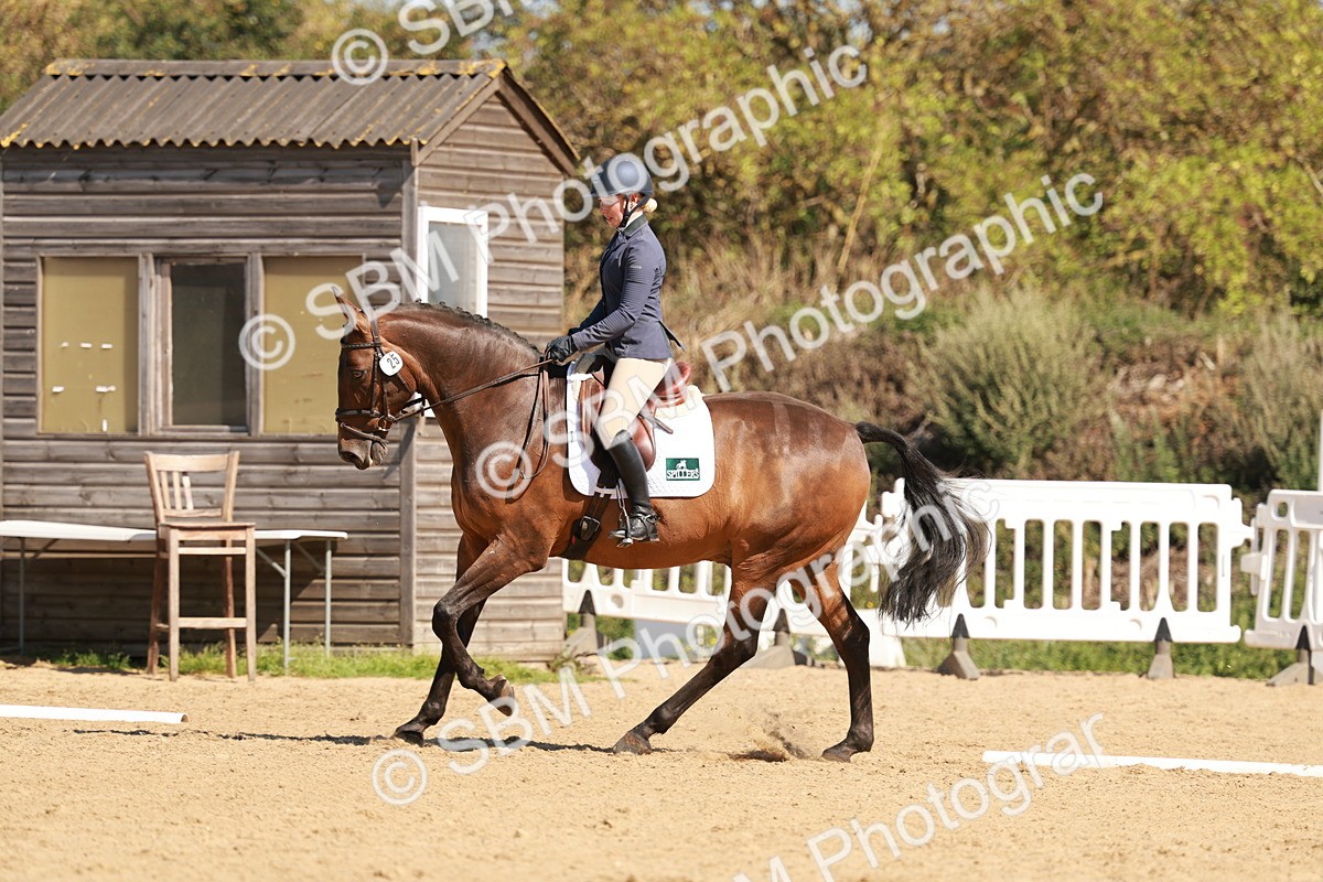 SBM_010775 - Class 7 - Novice 2