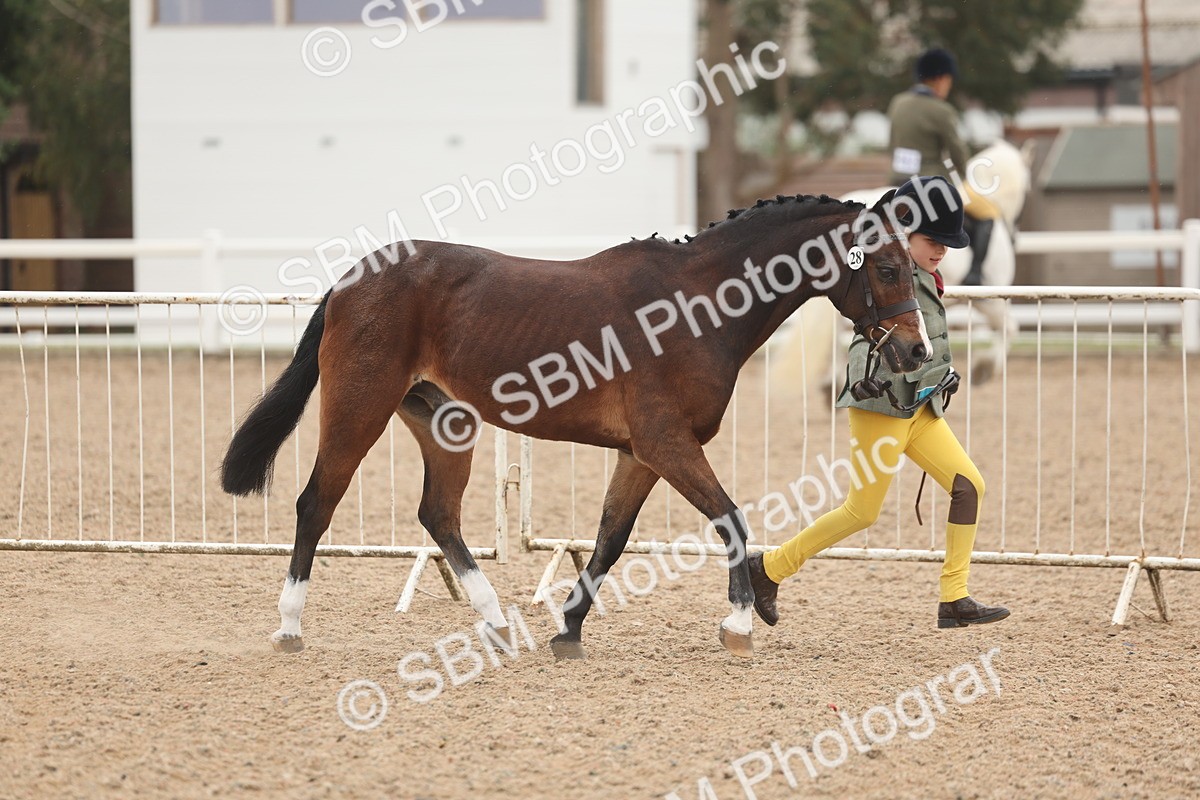 SBM_00469 - Class 13 Young Handler