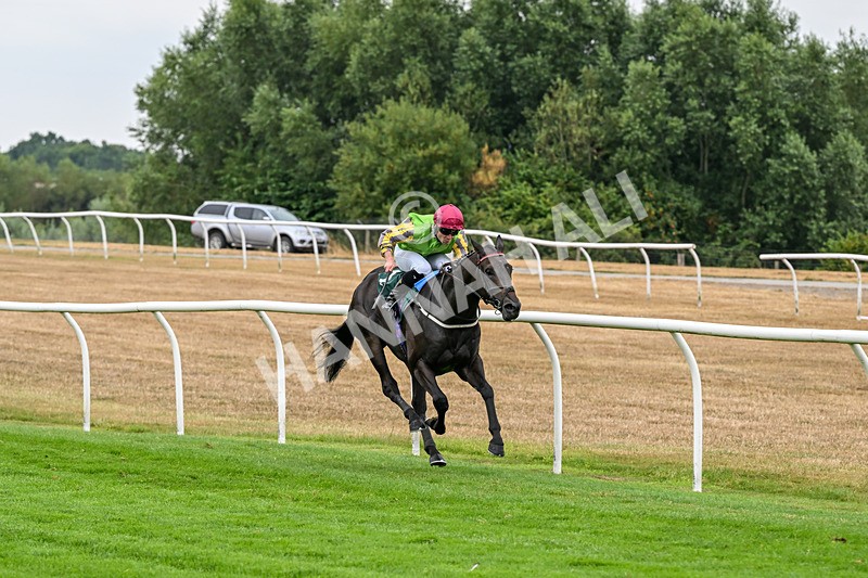 170826-Race 4-Star Noir-9579 - Race 4 15.45pm Constant Security Services Novice Stakes