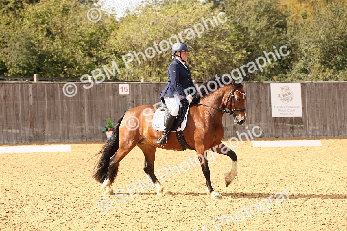 SBM_47449 - D12 - Small Tour Championship prelim 2